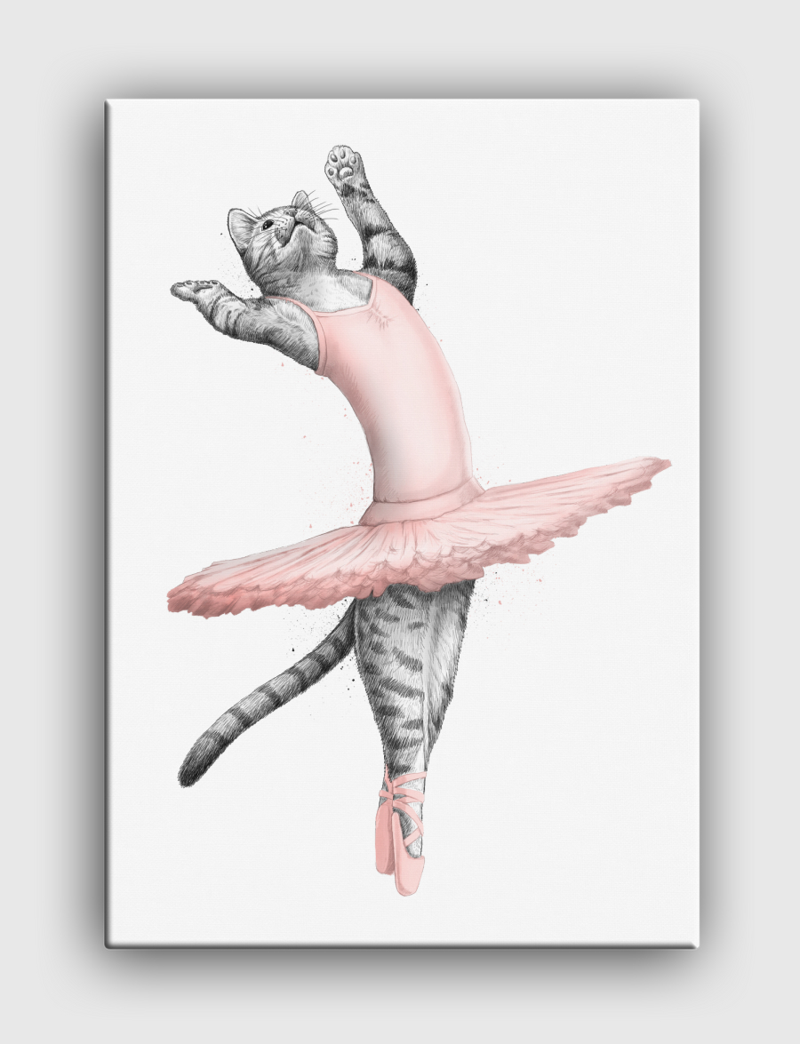 Ballerina Cat