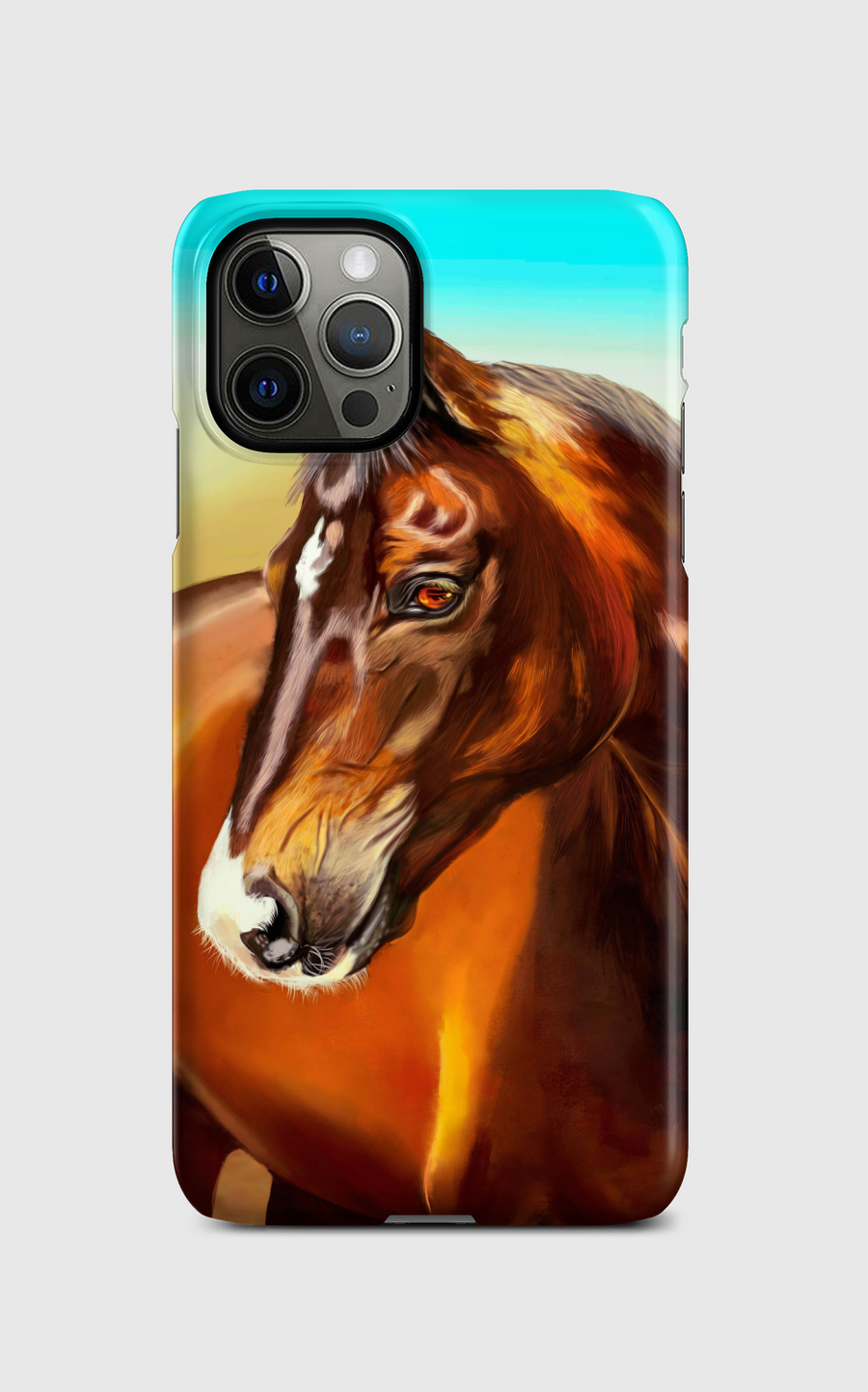 Le Cheval de Saladin