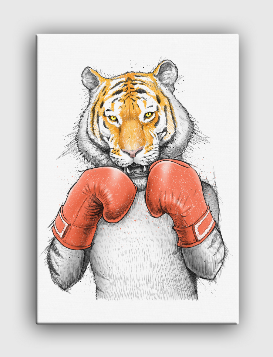 Tiger Boxer