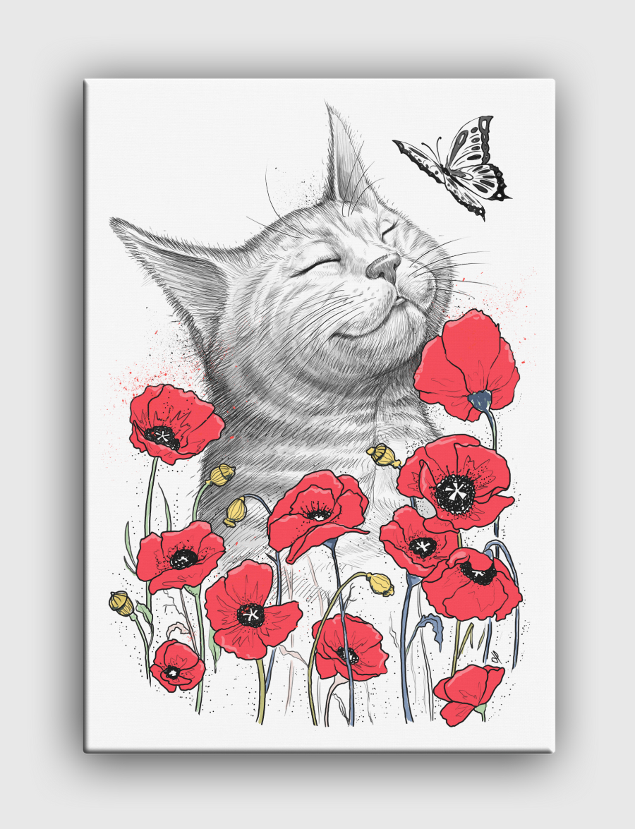 Cat in poppies