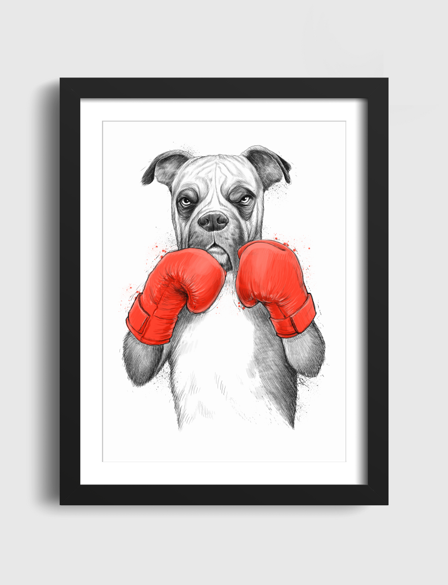 Boxer