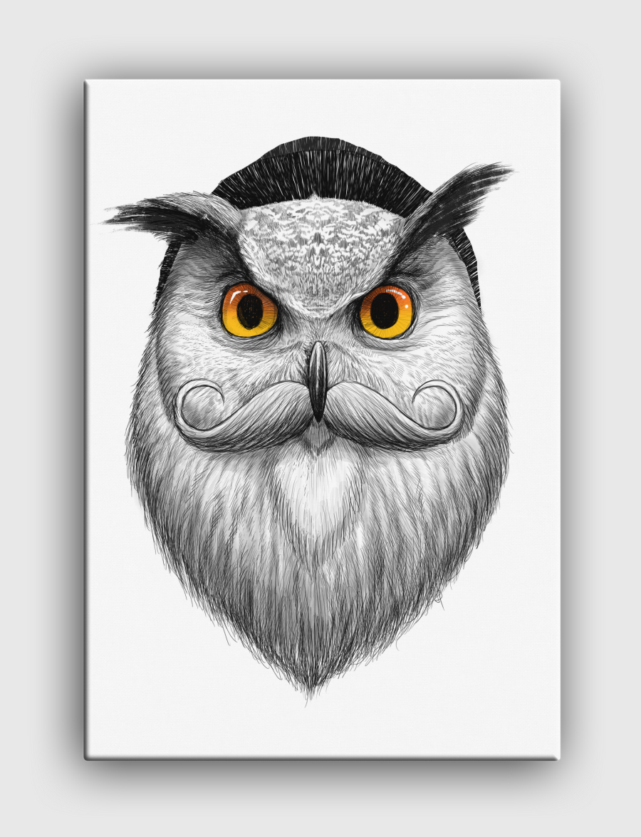 Bearded owl