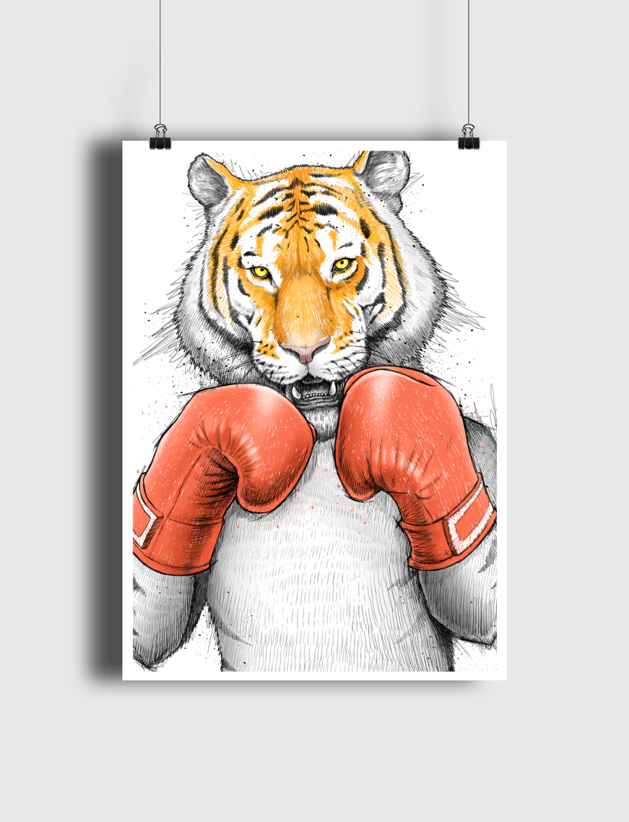 Tiger Boxer