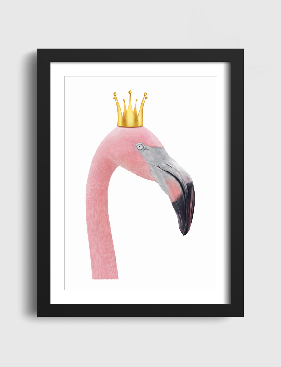 Queen flamingo
