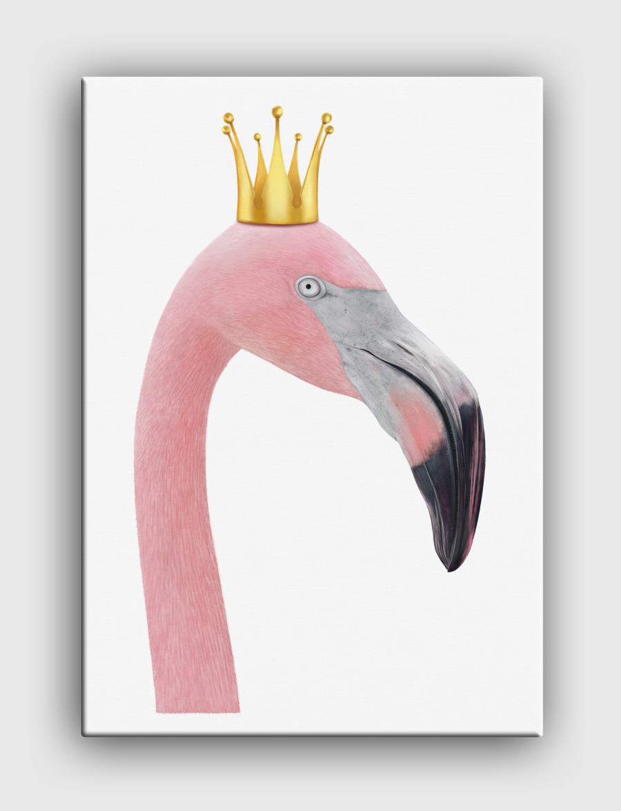 Queen flamingo