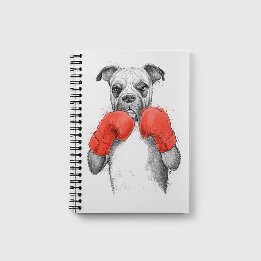 Boxer