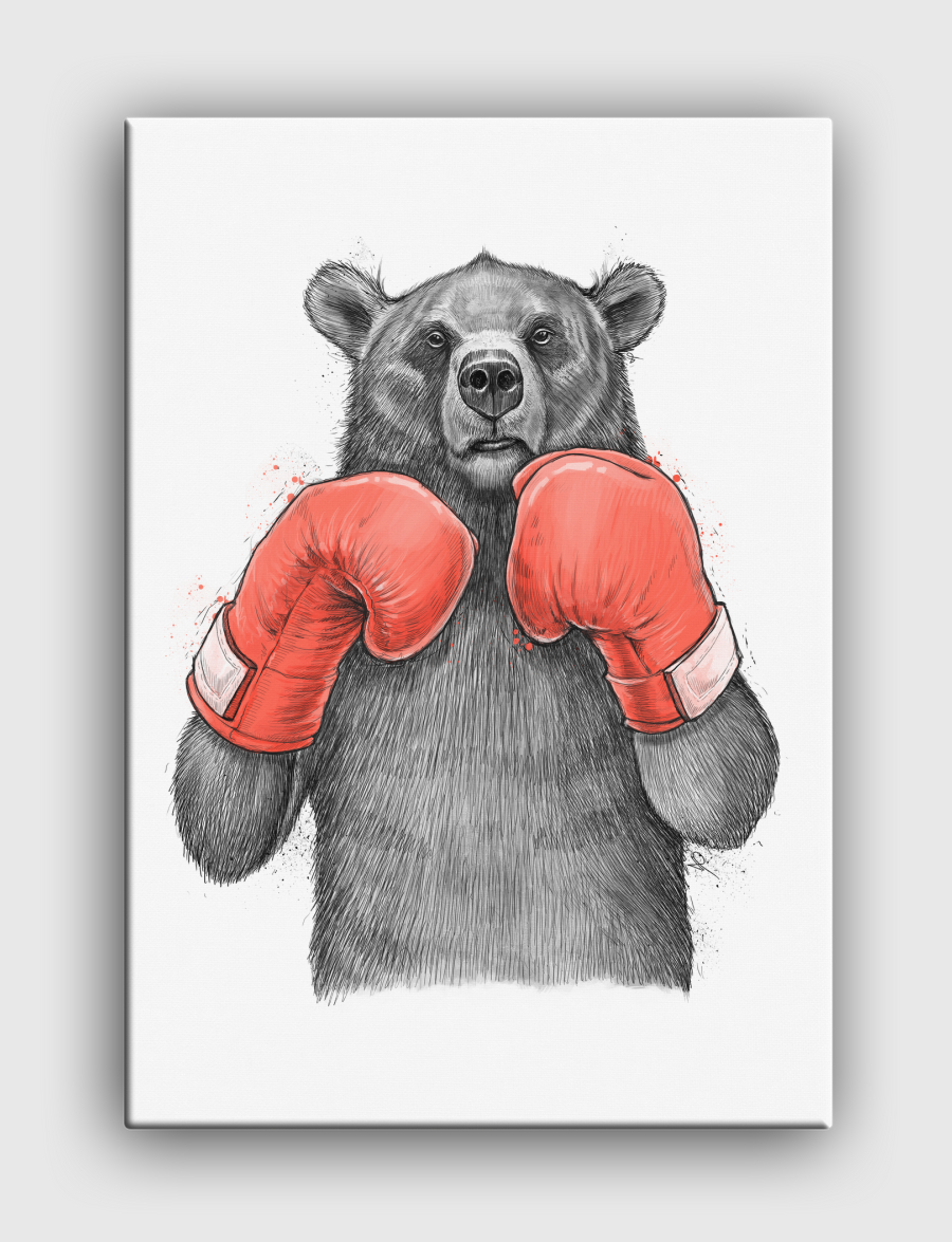 Bear Boxer
