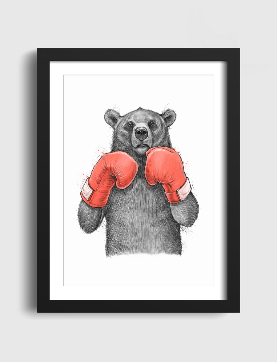 Bear Boxer
